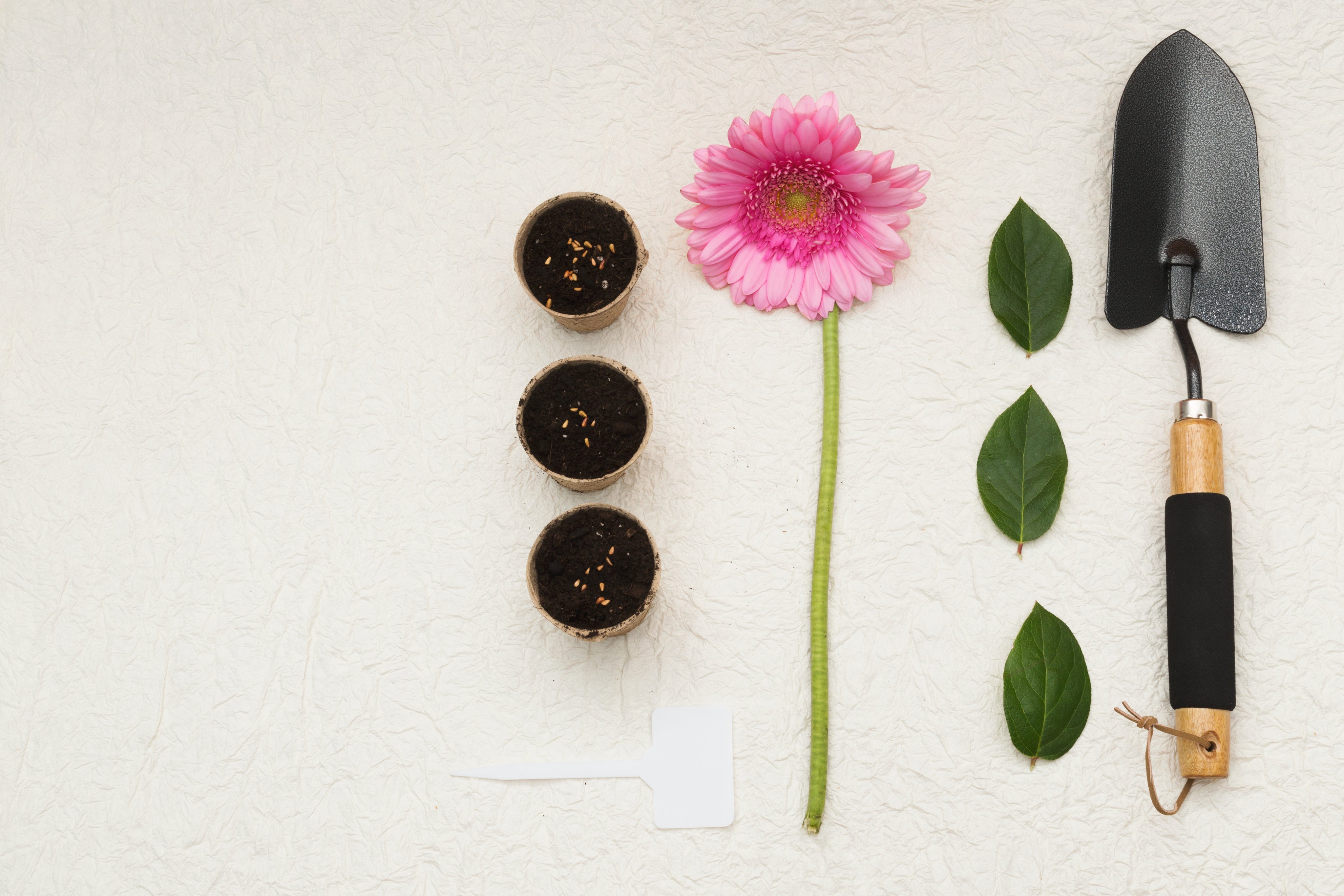 Spring Candles + Wax Tarts