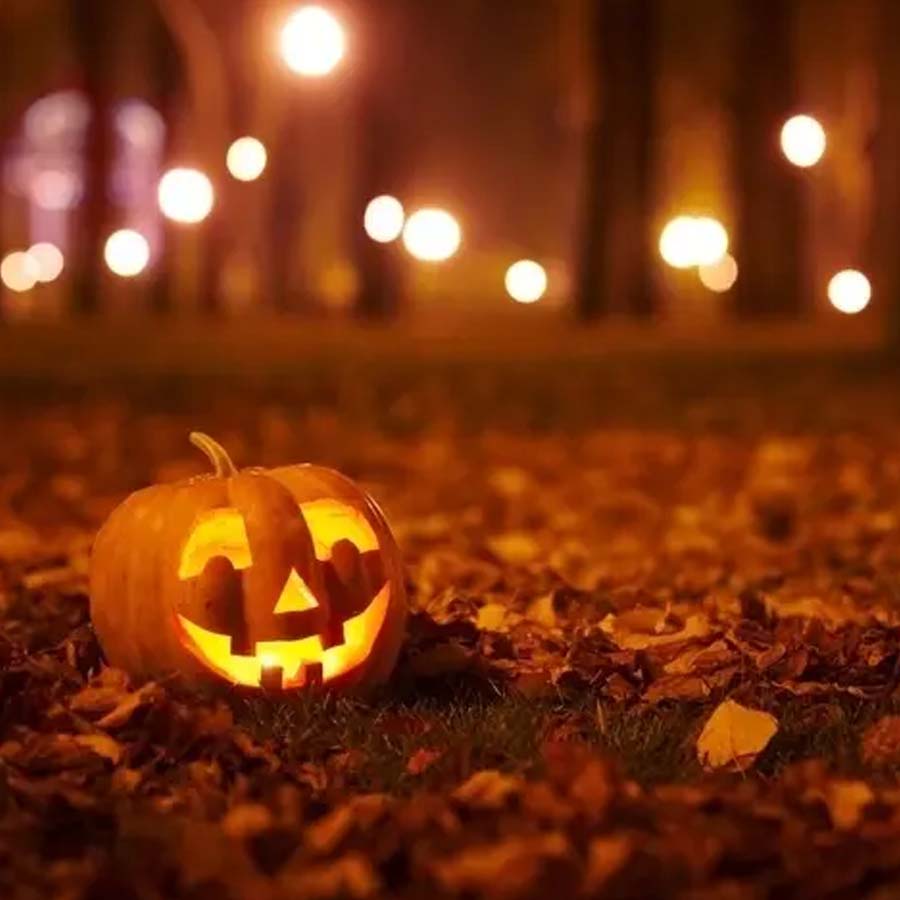 Halloween Candles + Wax Tarts