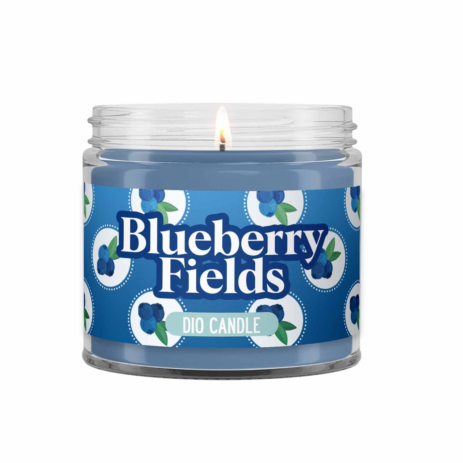 Blueberry Fields Candle - Blueberry Scented Soy – Dio Candle Company