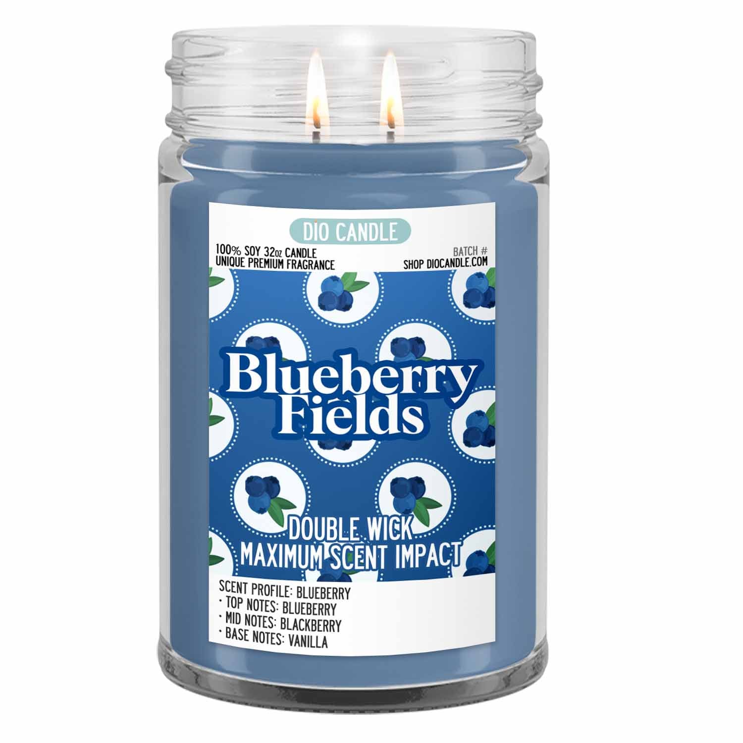 Blueberry Fields Candle - Blueberry Scented Soy – Dio Candle Company