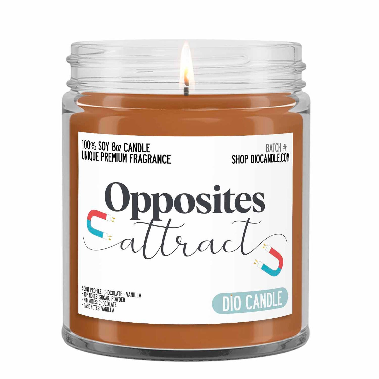 Opposites Attract Candle