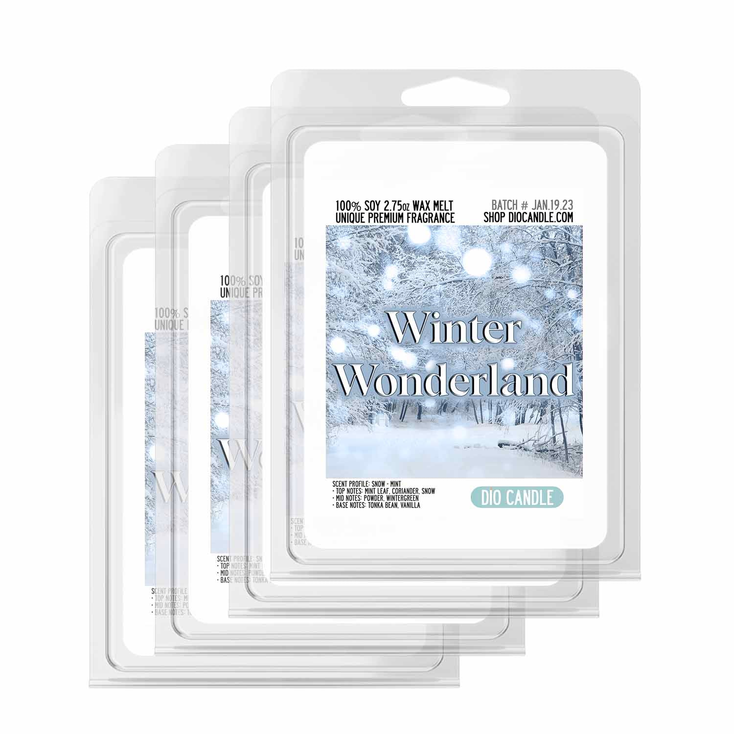 Snow Globe Wonderland Wax Melts 6-Packs - Wax Melts 6-Packs